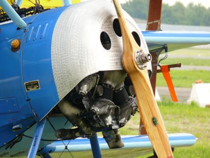 Fokker DrI 4. Photo: Ad Meskens, CC BY-SA 3.0, via Wikimedia Commons.